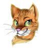 Pouncey