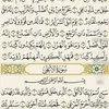 sabrin_459