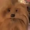 n0b0dy468