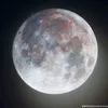 edivadattep98