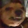 user8788888880