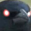 ok.cryptid