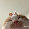 ngbangw