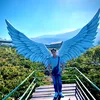 thanh4439