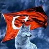 akinturkmen4