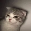 caupbesuy