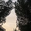 satisfyur_ear