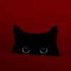najwa_put23