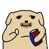 trynh_hnae