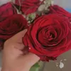 sevin__mohamed