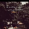 abuhurriara3290