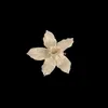 coffea.00