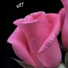 hania__jaan