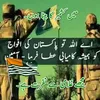 javaidkhan75