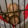 willowbear33