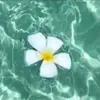 benjamin_rotinas