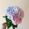 chauanh__