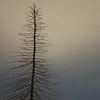 december_18th_
