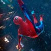 spideywebhead817