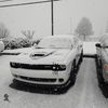dodge_137