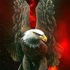 taha_enes