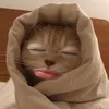 phthaoxinhgaii
