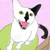koalathecat_