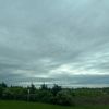 lillyofthevalley78
