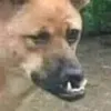 ayowtfyoudoing