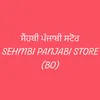 mr_mrs_sehmbi13