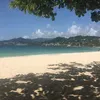 colleencato