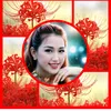 vananh0815