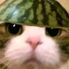 cahkidol777