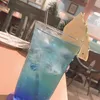 ika_san04