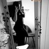 aaliyahwebsterx