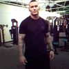 punksviper