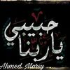 ahmedmorsy1987