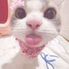 bluwiee_pixx0_0