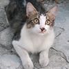 sitimuzayana25