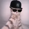 fvilip_2