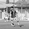 veinnn12