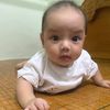 12121988hau