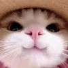 nakayoci