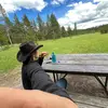 balen.trek