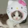 mianh1508