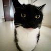 fatuglybaby12
