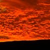 abdullah_riyadh1133