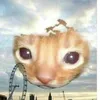 b0ngwater73