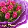 userrtpiznj4dt