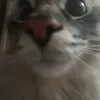 lalalala_6rr